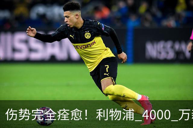 伤势完全痊愈！利物浦 4000 万新援迎世界杯首秀，西班牙边路解燃眉之急