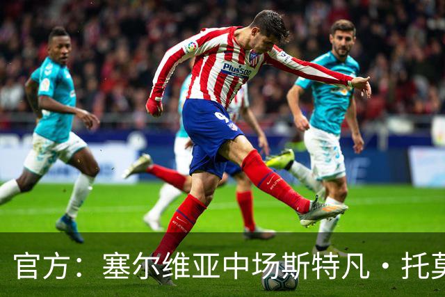 官方：塞尔维亚中场斯特凡·托莫维奇加盟中甲宁波队